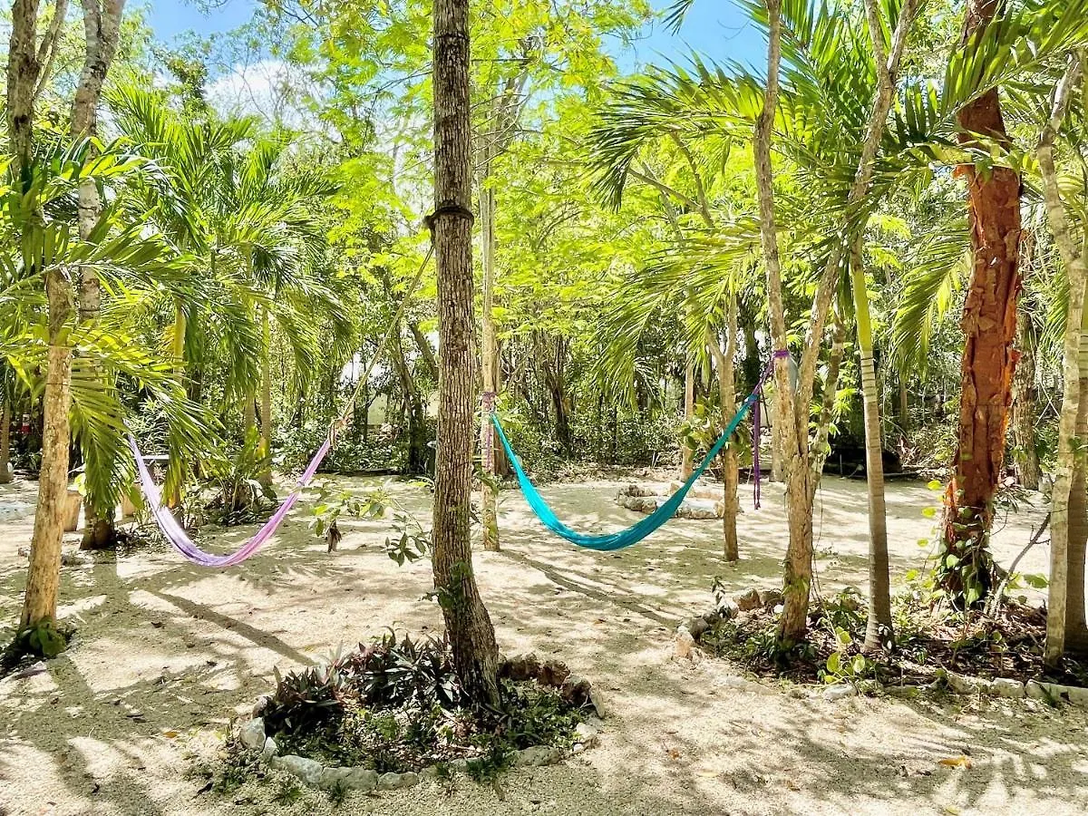 Apartamento Ku Kuk Glamping Chemuyil